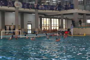 CESPORTTELIMAR300x200