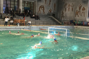 Roma Arvalia Cus Unime okrekrkrrr